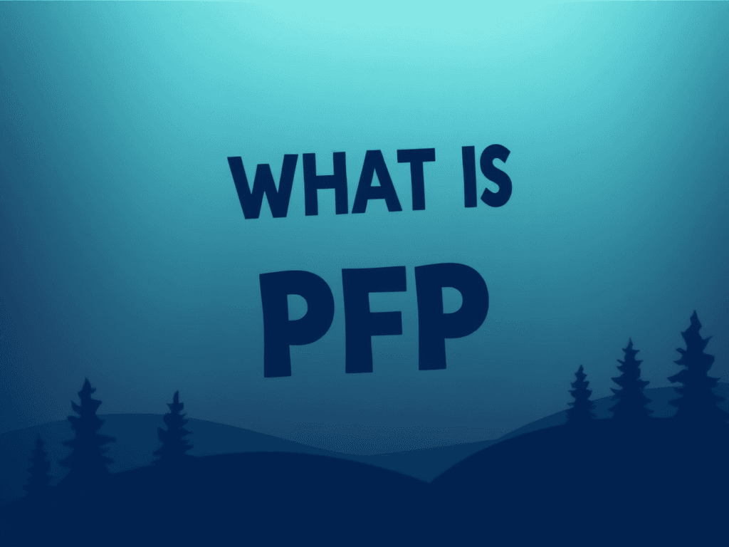 Display image for What is pfp